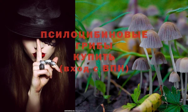 PSILOCYBIN Богданович