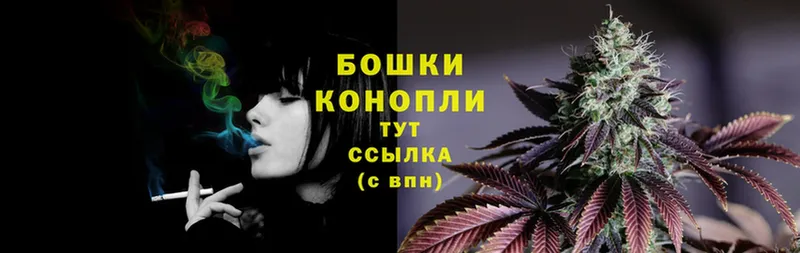 Каннабис OG Kush  Каменка 